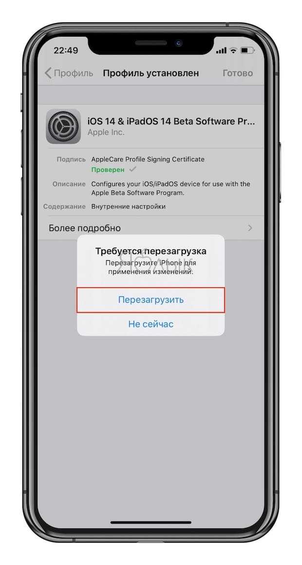 Как установить публичную бету ios 13.5 на iphone и ipad | appleinsider.ru