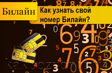 Как проверить свой номер на билайн россия с телефона, планшета или модема