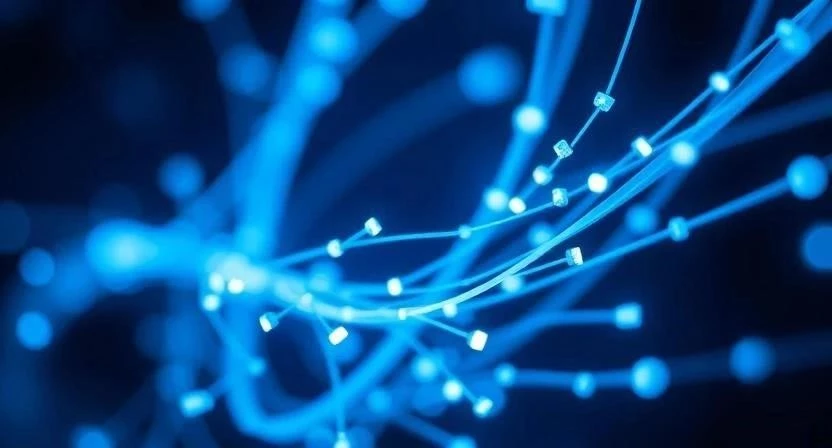 Как правильно подобрать интернет для бизнеса: тарифы и способы подключения