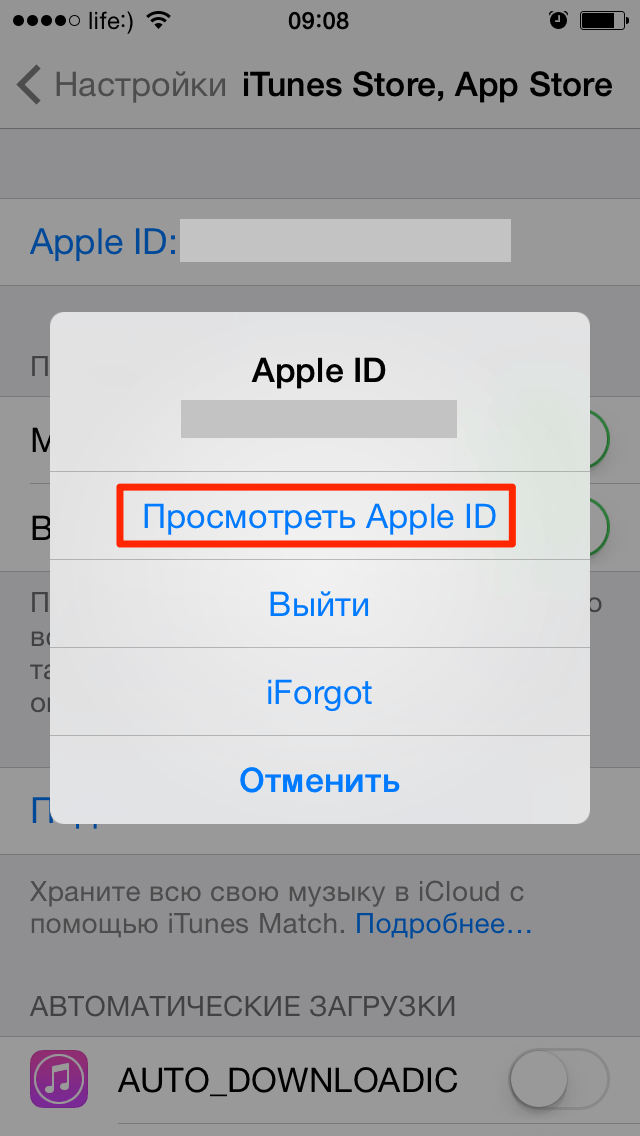 Apple id забыт пароль. Что такое Apple ID на айфоне 6s. Что такое Apple ID на айфоне 5. Что такое Apple ID на айфоне и пароль. Apple ID на iphone 6.