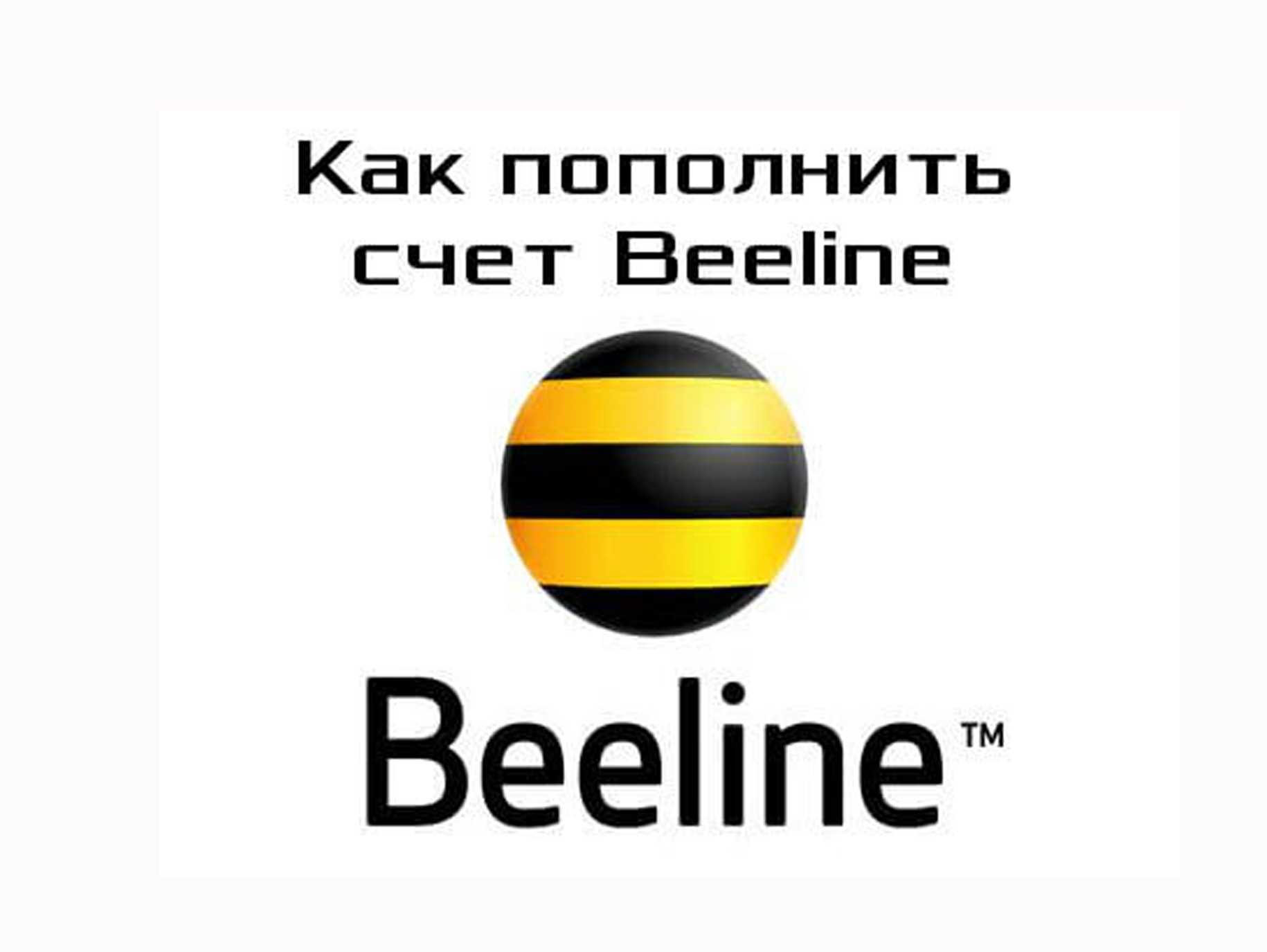 Beeline логотип