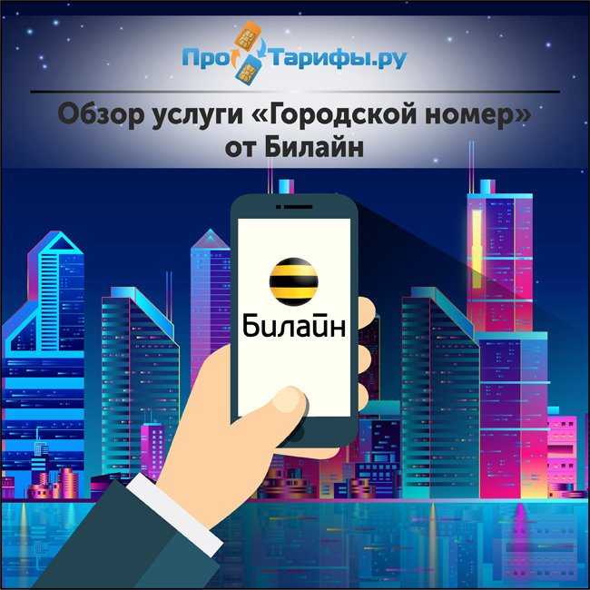 Городской номер барнаул. Городские номера Билайн. Городские услуги. Обзор услуг. Отключить услугу городской номер Билайн.