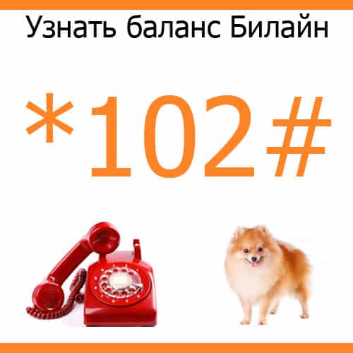 Баланс билайн - проверить и узнать с телефона | как посмотреть