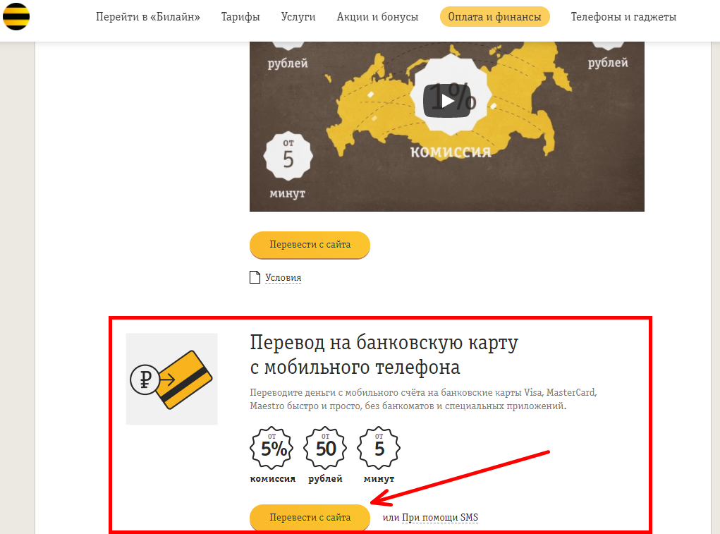 Как перевести деньги с билайна на билайн: мобильный перевод — kakpozvonit.ru