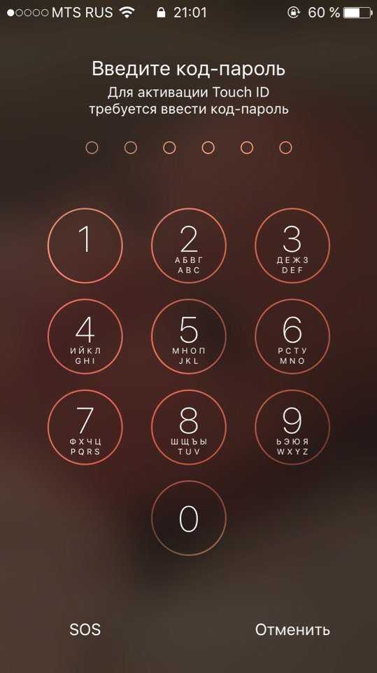 Как разблокировать айфон если забыл пароль