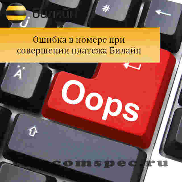 Как вернуть ошибочный платеж мтс, как написать заявление на возврат: пошаговая инструкция